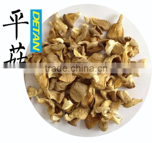 Detan Mushroom Dried Oyster Mushrooms
