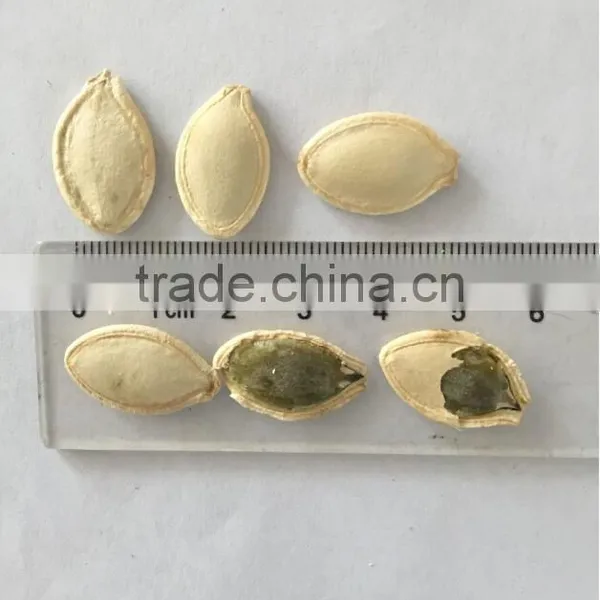 Hot Selling Pumkin Seeds Shine Skin for Middle East Market photo-2
