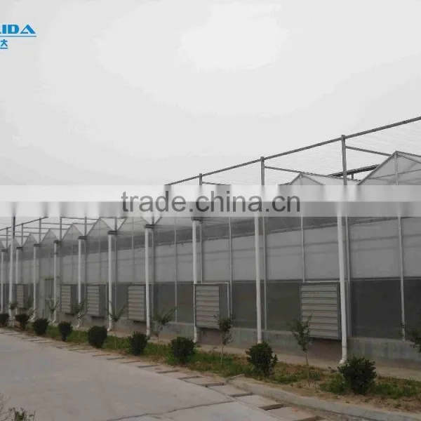 BaoLiDa Low Cost 20 Micron Polycarbonate Greenhouse pc Sheet Greenhouse photo-4