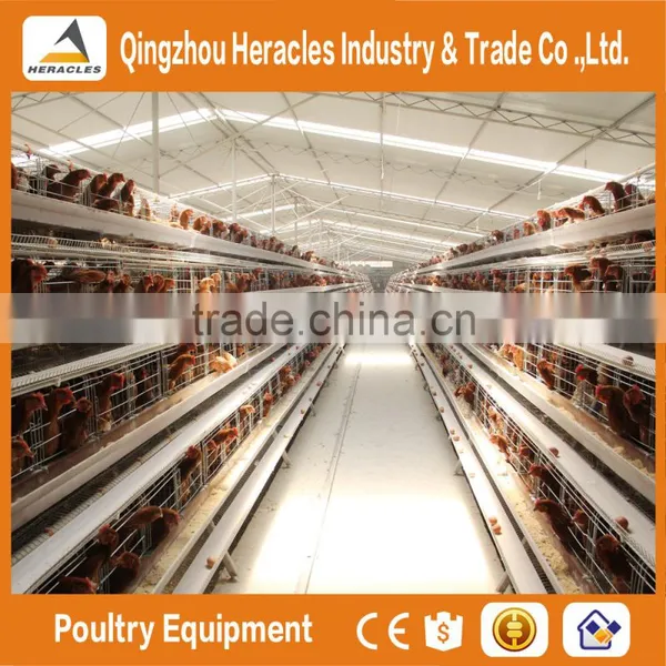 Heracles Company Price A Type Bird Cage--poultry Cage Layer Chickens photo-2