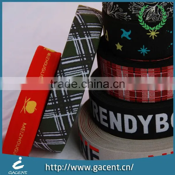 High Quality Customized Nylon or Polyester Elastic Webbing photo-2