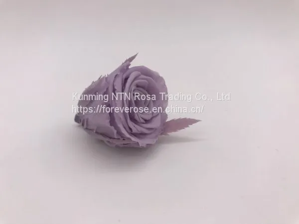 High Quality Timeless Preserved Flower Rose to Make Gorgeous Flower Gifts photo-3