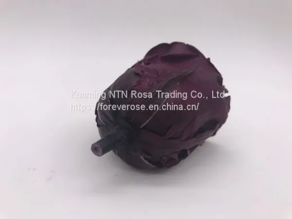 Preserved Rose Gift Arrangement Preserved Flowers photo-4
