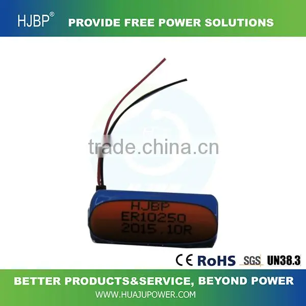 2016 Hot Sale ER10250 3.6V LiSOCl2 Non-rechargeable Lithium Primary Battery photo-4