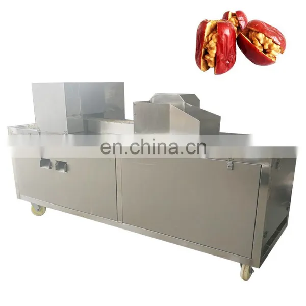 Dates Pitting Machine for Jujube Seeds Removing Processing 5000kg per Hour Processing Equipment photo-5