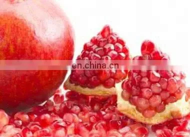 Pomegranate Seeds Separator Machine/pomegranate Seed Removing Machine photo-2