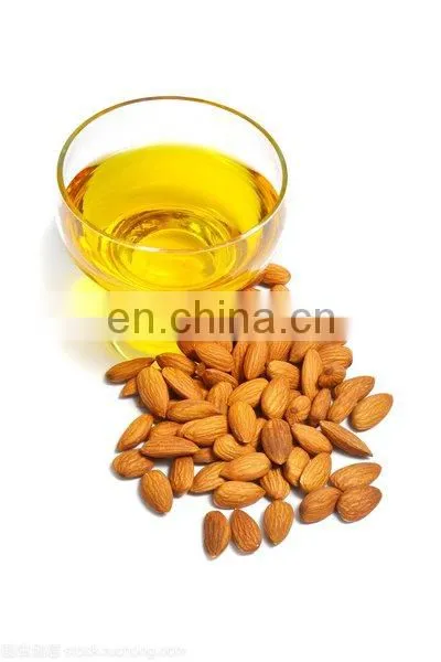 Hydraulic Oil Almond Oil Nut Oil Pressing Machine Cold & Hot Pressing Machine photo-3