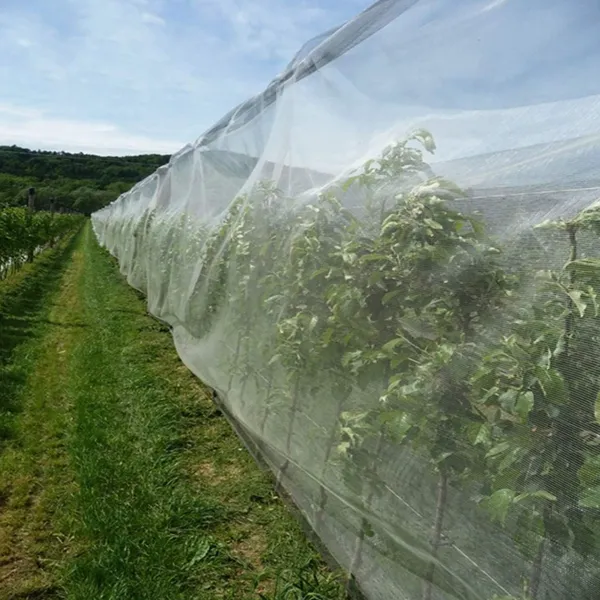 30 40 50 60 Mesh Greenhouse Anti Aphid Netting Customized Size Garden Vegetables Pest Control Screen Insect Screen Barrier Net photo-4
