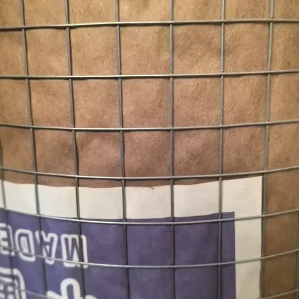 Galvanized Welded Wire Mesh Rolls 0.5mm-14mm Gauge With 1/4