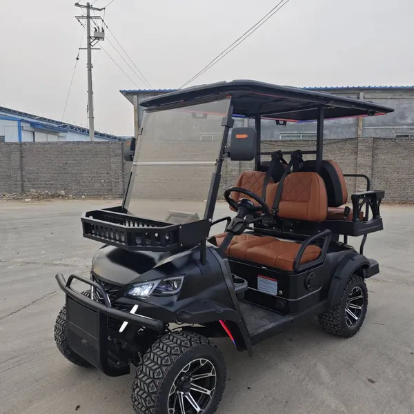New 2+2 Four-seater Electric Golf Cart and Patrol Vehicle for Export Trade. Direct Factory, Customizable. photo-3
