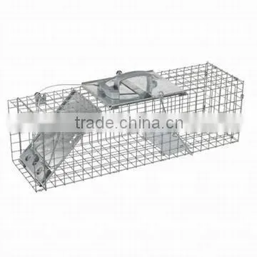 Mouse Trap