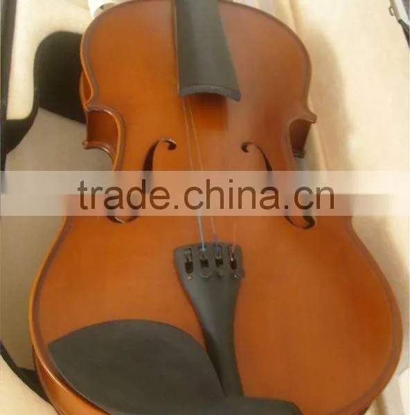 Viola