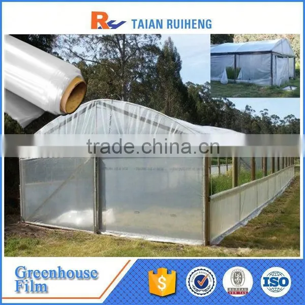 Professional Factory Greenhouse Plastic Film, PE Greenhouse Plastic photo-6