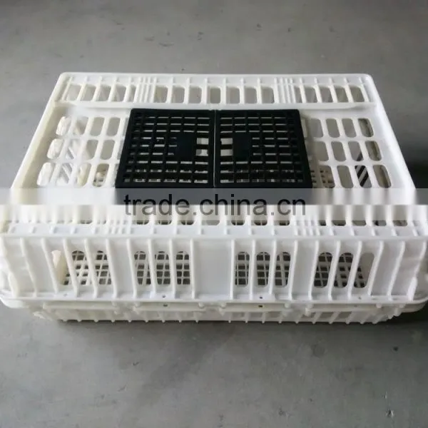 Plastic Hencoop for Transportation photo-3