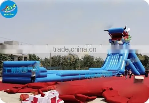 Extreme Giant Inflatable Water Slide photo-2