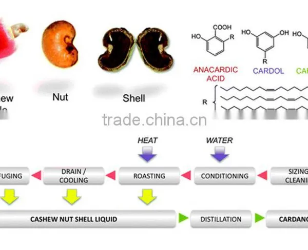 Cashew Nut Shell Liquid photo-2