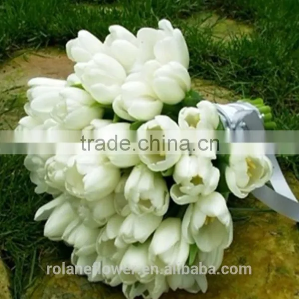 Graceful High Quality White Tulip Flower for Exporting photo-3