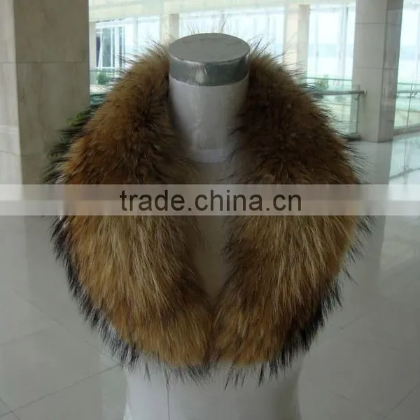 Winter Warm Hot Sale Big Raccoon Fur Collar Customized Plump Raccoon Fur Shawl Collar photo-5