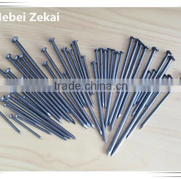 Round Nail/ Wire Nails/wood Nails +86 15132140964 Wechat/whatsapp photo-6