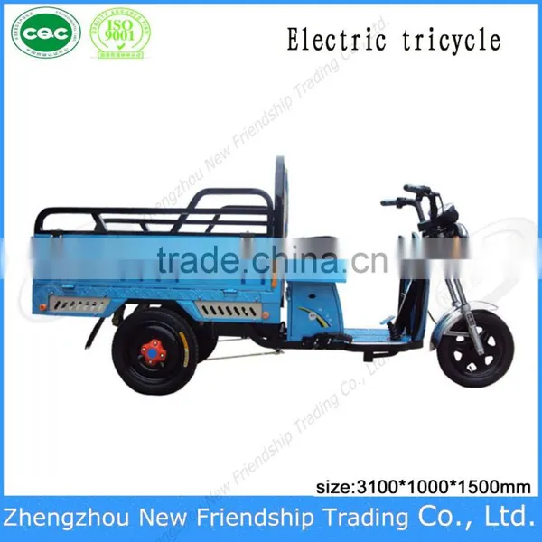 Cargo Delivery Small 3 Wheel Electric Trike Tricycle Rickshaw photo-4