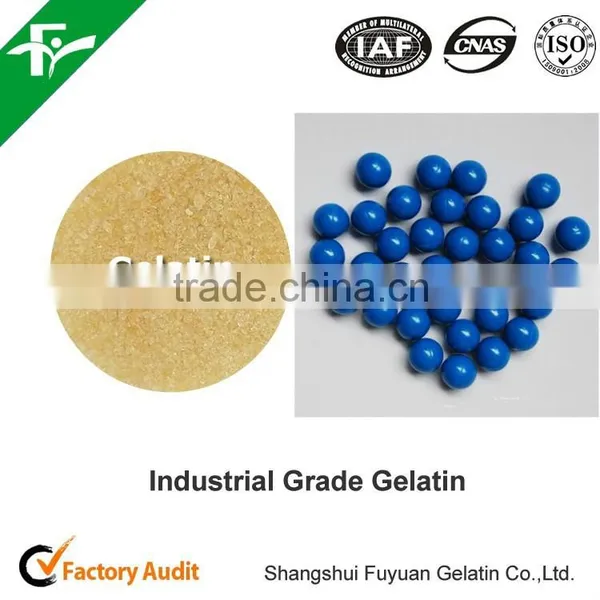 Wholesale Price 200 Bloom Cow Skin Industrial Paintball Gelatin photo-6