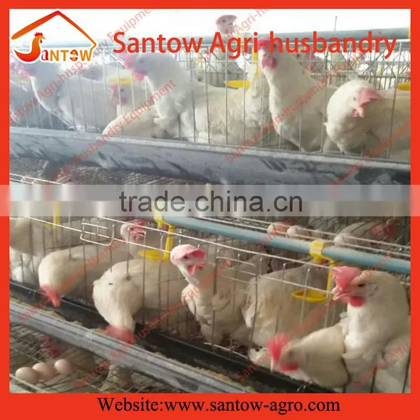 Automatic Chicken Egg Layer Cages Poultry Cage Battery Cage System for Sale