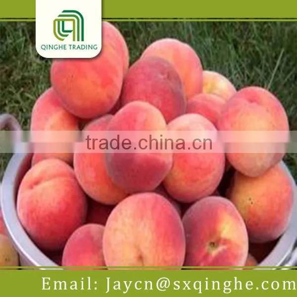 Fruit Peach Fresh Food Importer photo-3