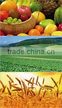 Humic Acid Organic Fertilizer , 90% Fulvic Acid Powder photo-5