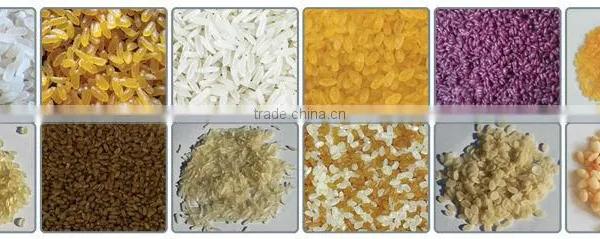 Instant Nutrition Rice Making Machine photo-2