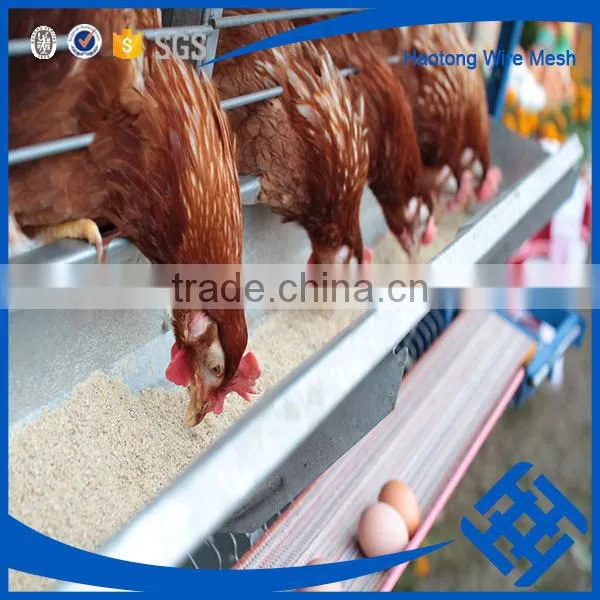 Hot New Products for 2015 Plastic Poultry Transport Cage