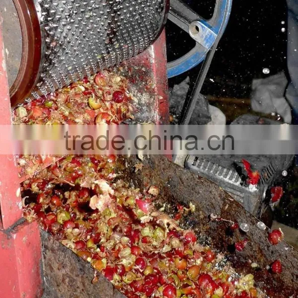 Hand Operated Coffee Pulper photo-5