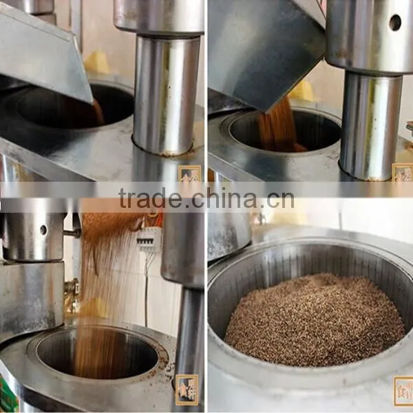 QI'E Black Seeds Oil Press Machine Prices photo-4