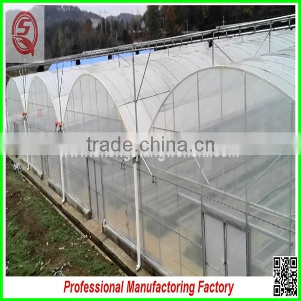 China Multi/single Span Plastic Film Greenhouse Agriculture for Sale photo-3