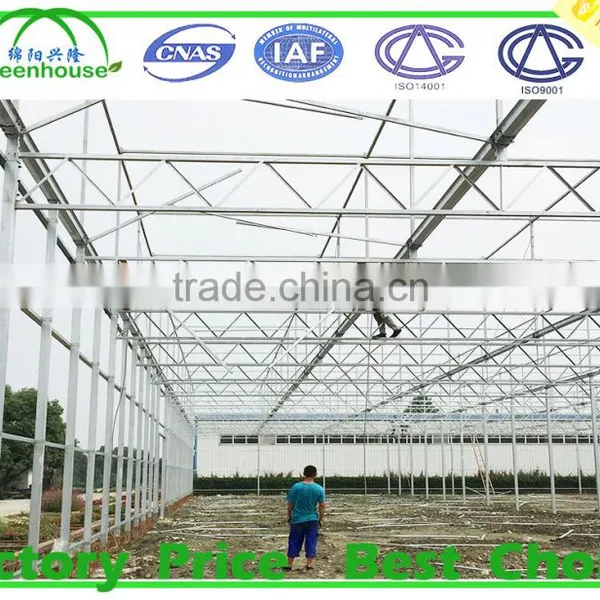 Glass Greenhouse Building Sale photo-6