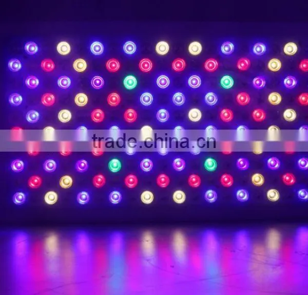 Hot Selling 300w 600w 1000w Panel Lights 5w Epistar Chips (200x5w) Full Spectrum Indoor Greenhouse Led Light photo-3