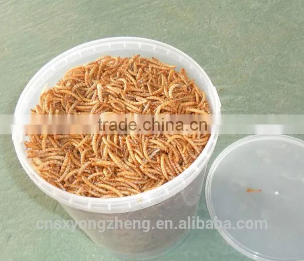 Import China Products Dried Mealworms Of Bird Food photo-3