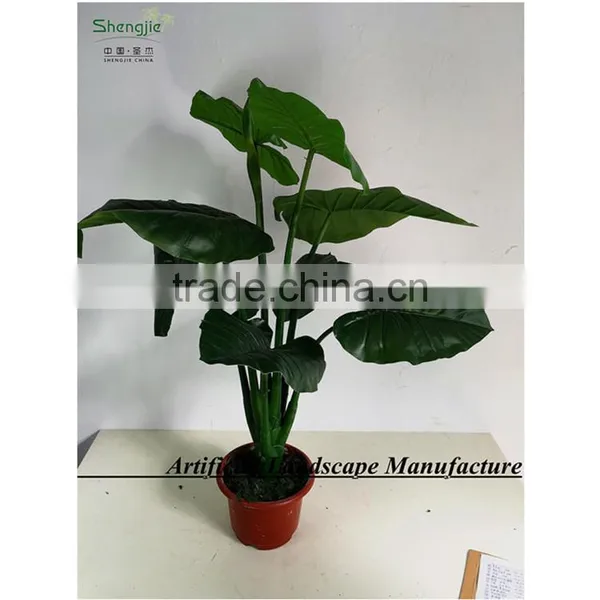 SAS201605 Artificial Green Plant,Indoor Fake Ornamental Plant Bonsai photo-5
