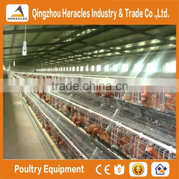 Shandong Heracles Trade Assurance Equipment Poultry A Type Laying Hen Cages for Sale photo-4