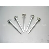 Roofing Nail of BWG 9/10/11/12