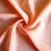 PA Coated Taffeta