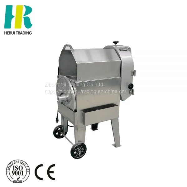 Stainless Steel Automatic Multi-functional Cutter Fruit Vegetable Cutting Machine photo-3