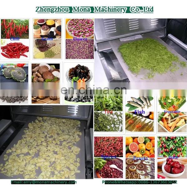 Mango Slices Continuous Belt Microwave Drying Machine photo-6