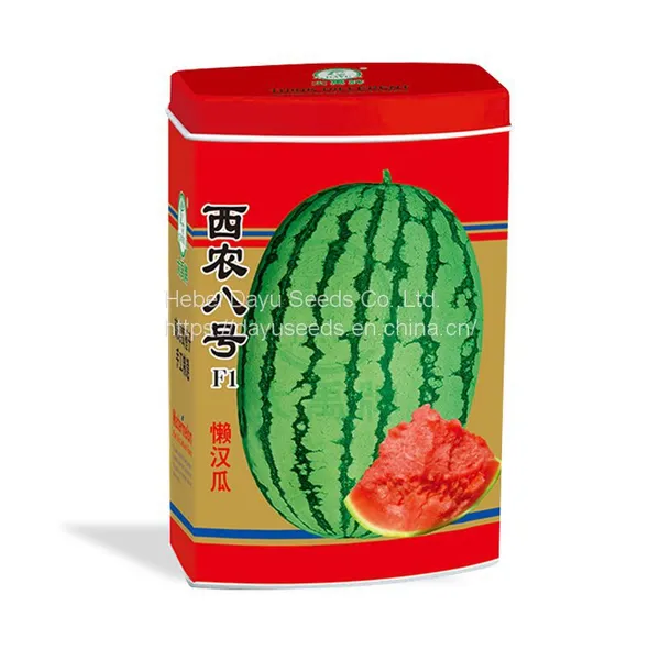 Medium Mature Large Fruit Watermelon Seedless Watermelon Watermelon Seeds Wholesale Suppliers photo-2
