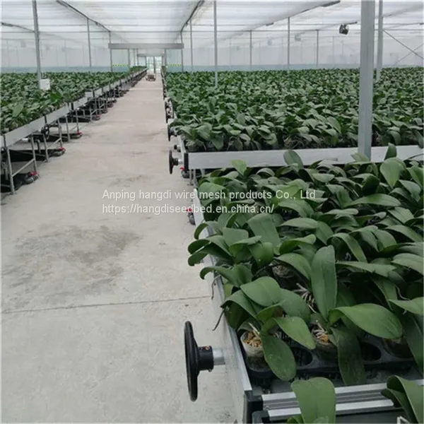 Tidal Seedbed Manufacturer photo-2