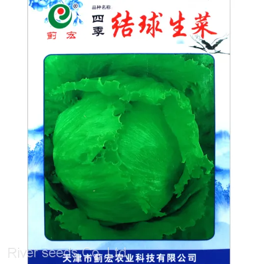 Buy Online 5g Raw Hybrid Green Leaf Iceberg Lettuce Seeds for Sowing
