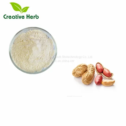 Fat-free Peanut Protein Powder Manufacturer photo-2