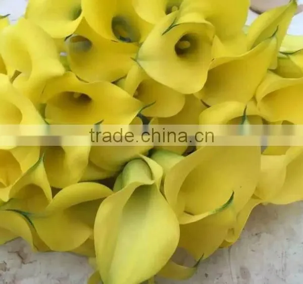 Cut Fresh Manufacture Bottom Price Calla Lily Pick photo-2