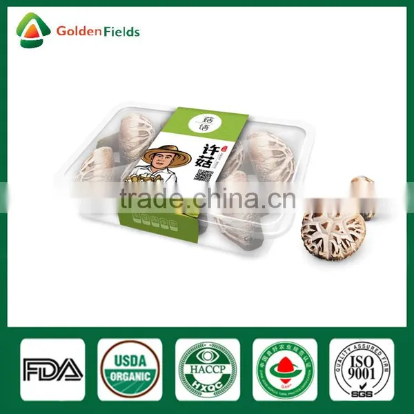 Market Price for Mushroom,Shiitake Mushroom Price,Mushroom For Sale photo-4