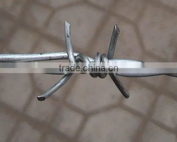 Galvanized Barb Wire photo-5