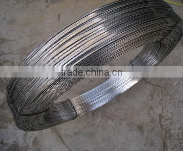 Flat Wire 0.7X2.0mm, 0.9X2.0mm for Carton Nail photo-4